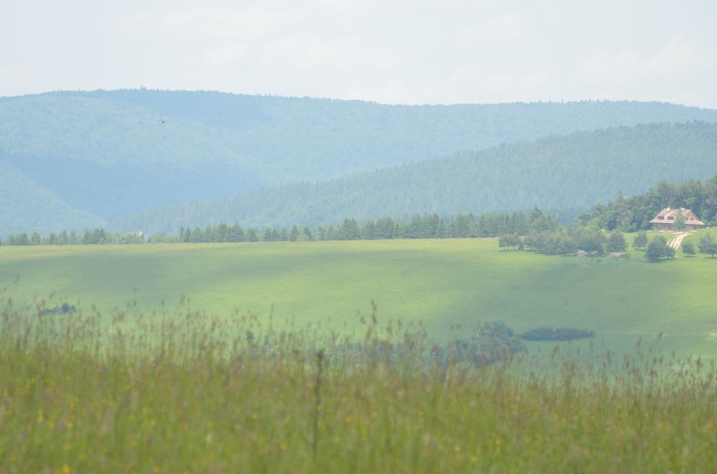 Schronisko Gorskie Nad Smolnikiem Smolnik  Экстерьер фото
